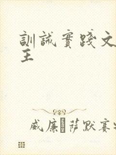 训诫实践文双男主