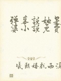 弹幕说她是我老婆小说免费阅读txt封面