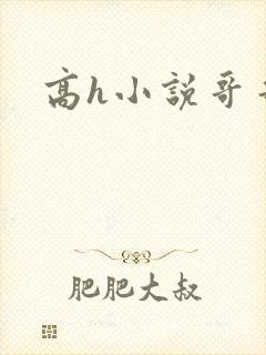 高h小说哥哥