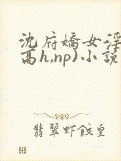 沈府娇女淫史(高h,np)小说封面