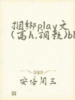捆绑play文(高h,调教)bl