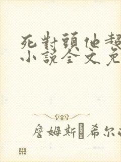 死对头他超甜的小说全文免费阅读封面