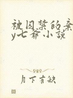 被囚禁的弃妃by七爷小说