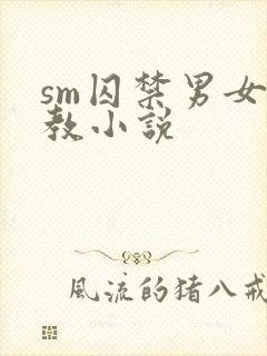 sm囚禁男女调教小说封面