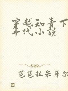 穿越知青下乡的年代小说