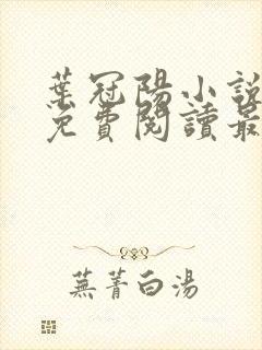 叶冠阳小说全文免费阅读最新章节