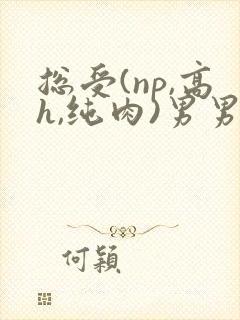 总受(np,高h,纯肉)男男文