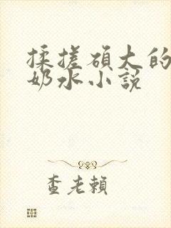 揉搓硕大的乳晕奶水小说