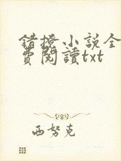 错撩小说全文免费阅读txt封面