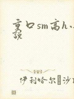 重口sm高h小说
