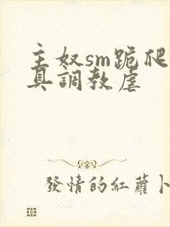 主奴sm跪爬道具调教虐