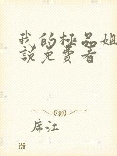 我的极品姐姐小说免费看