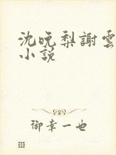 沈晚梨谢云迟 小说