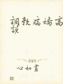 调教病娇高h小说
