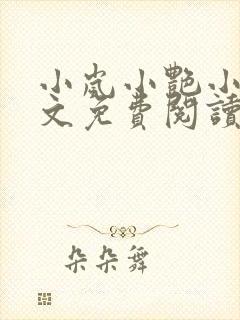 小岚小艳小说全文免费阅读最新章节