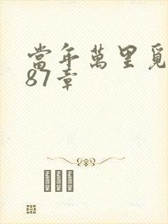 当年万里觅封侯87章