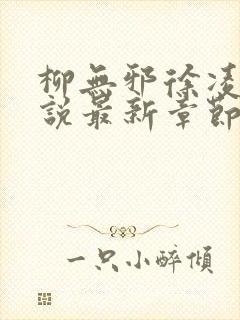 柳无邪徐凌雪小说最新章节