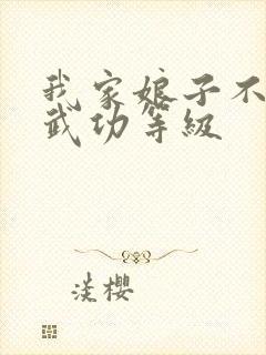 我家娘子不对劲武功等级