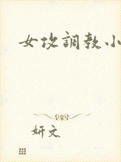 女攻调教小说
