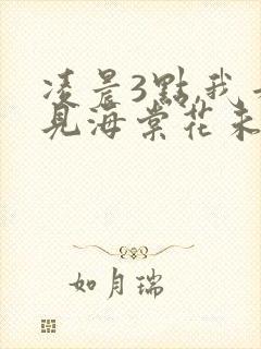 凌晨3点,我看见海棠花未眠