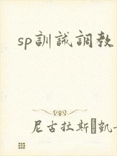 sp训诫调教文