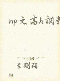 np文高h调教封面