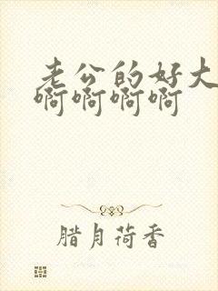 老公的好大好爽啊啊啊啊封面