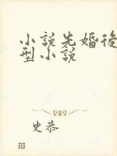 小说先婚后爱类型小说