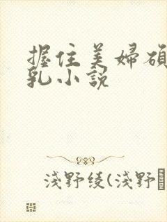 握住美妇硕大双乳小说