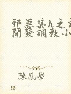 邪恶集h之调教开发调教小说