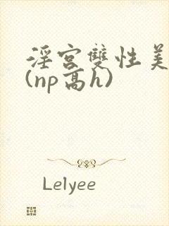 淫宫双性美人录(np高h)