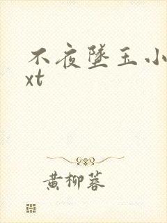 不夜坠玉小说txt