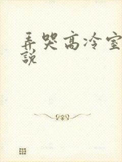 弄哭高冷室友小说