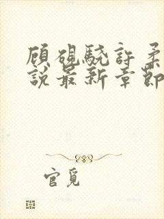 顾砚骁许柔汐小说最新章节更新时间