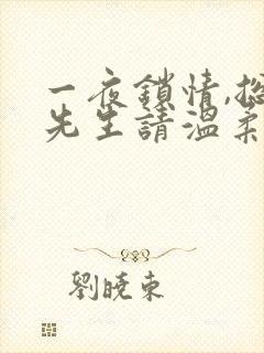 一夜锁情,总裁先生请温柔全文免费阅读