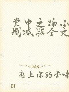 掌中之物小说无删减版全文阅读