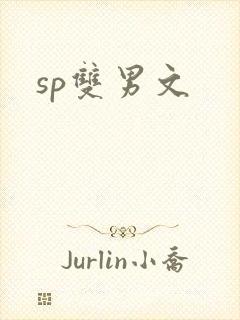 sp双男文