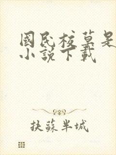 国民校草是女生小说下载封面