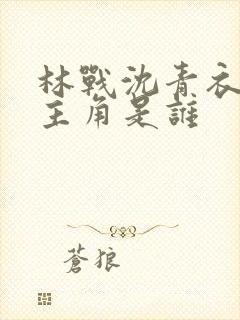 林战沈青衣小说主角是谁封面