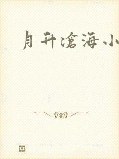 月升沧海小说