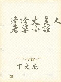 清冷大美人是我老婆小说