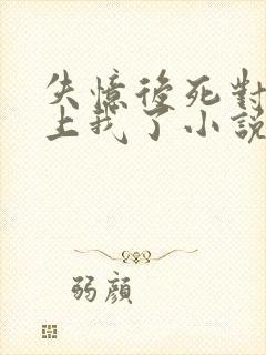 失忆后死对头黏上我了小说