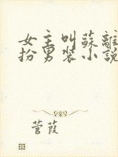 女主叫苏离的女扮男装小说