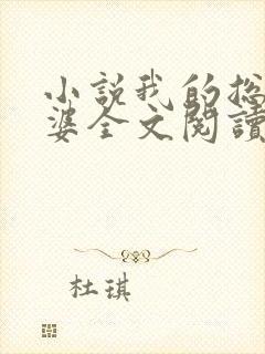 小说我的总裁老婆全文阅读