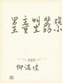 男主叫裴砚,女主重生的小说封面