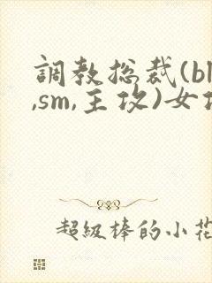 调教总裁(bl,sm,主攻)女攻