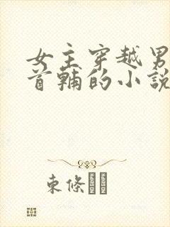 女主穿越男主是首辅的小说