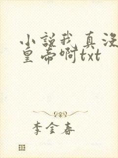 小说我真没想当皇帝啊txt