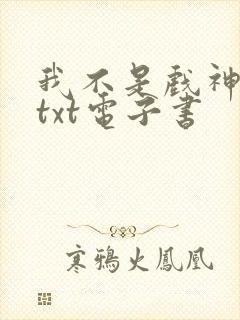 我不是戏神全本txt电子书