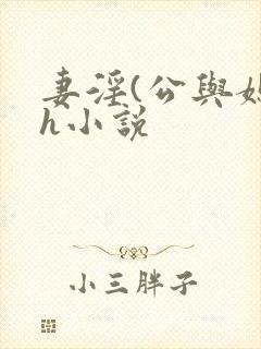 妻淫(公与媳7h小说